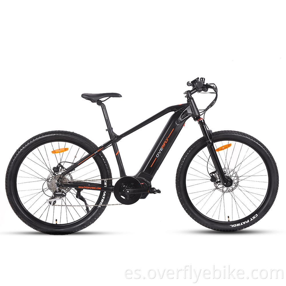 mountain electric bikes